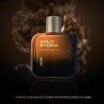 Wild Stone - Cigar Eau De Parfum for Men - Image 2
